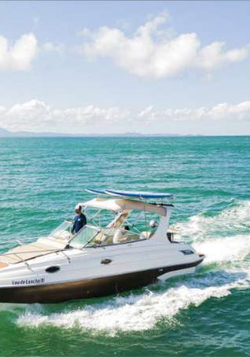 aluguel de lancha em florianopolis passeio de lancha em florianopolis ecoturismo boats vou de lanhca TRITON 295 VDL 03 (4)