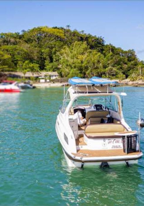 aluguel de lancha em florianopolis passeio de lancha em florianopolis ecoturismo boats vou de lanhca TRITON 295 VDL 03 (6)