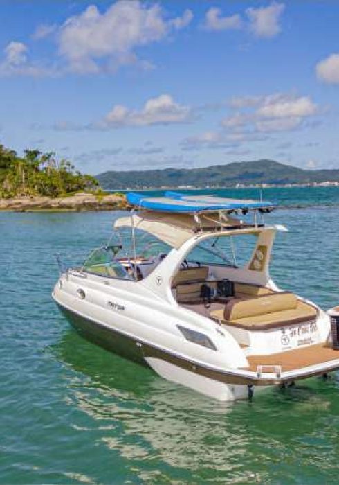 aluguel de lancha em florianopolis passeio de lancha em florianopolis ecoturismo boats vou de lanhca TRITON 295 VDL 03 (9)